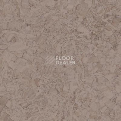 Линолеум Tarkett iq Megalit GREY BEIGE 0607 фото 1 | FLOORDEALER